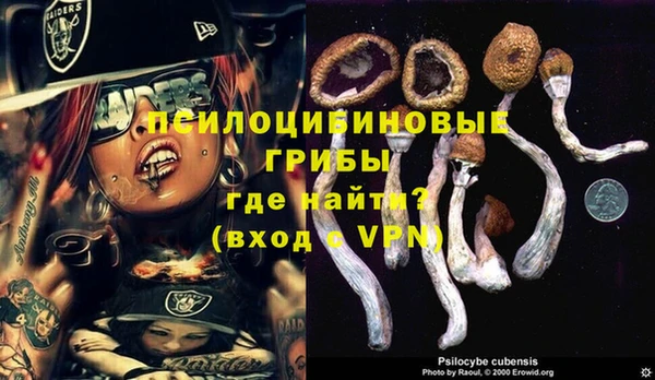 бошки Алексин