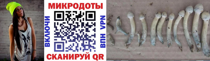 наркошоп  Чистополь  Галлюциногенные грибы мухоморы 