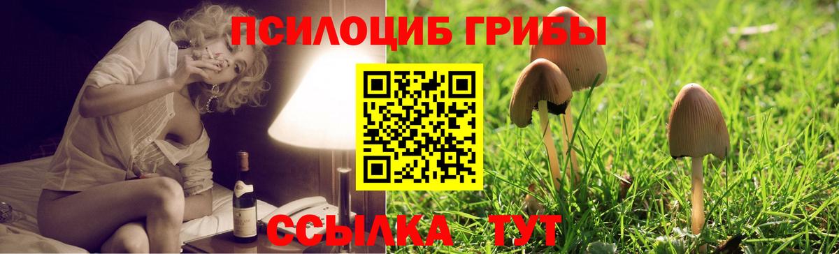 Галлюциногенные грибы Magic Shrooms  Вход с VPN  Чистополь  Галлюциногенные грибы Cubensis 